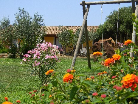 fiori della Sardegna